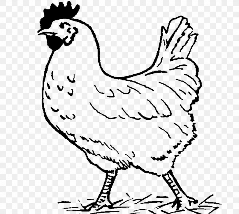 Chicken Black And White Clip Art, PNG, 1876x1688px, Chicken.