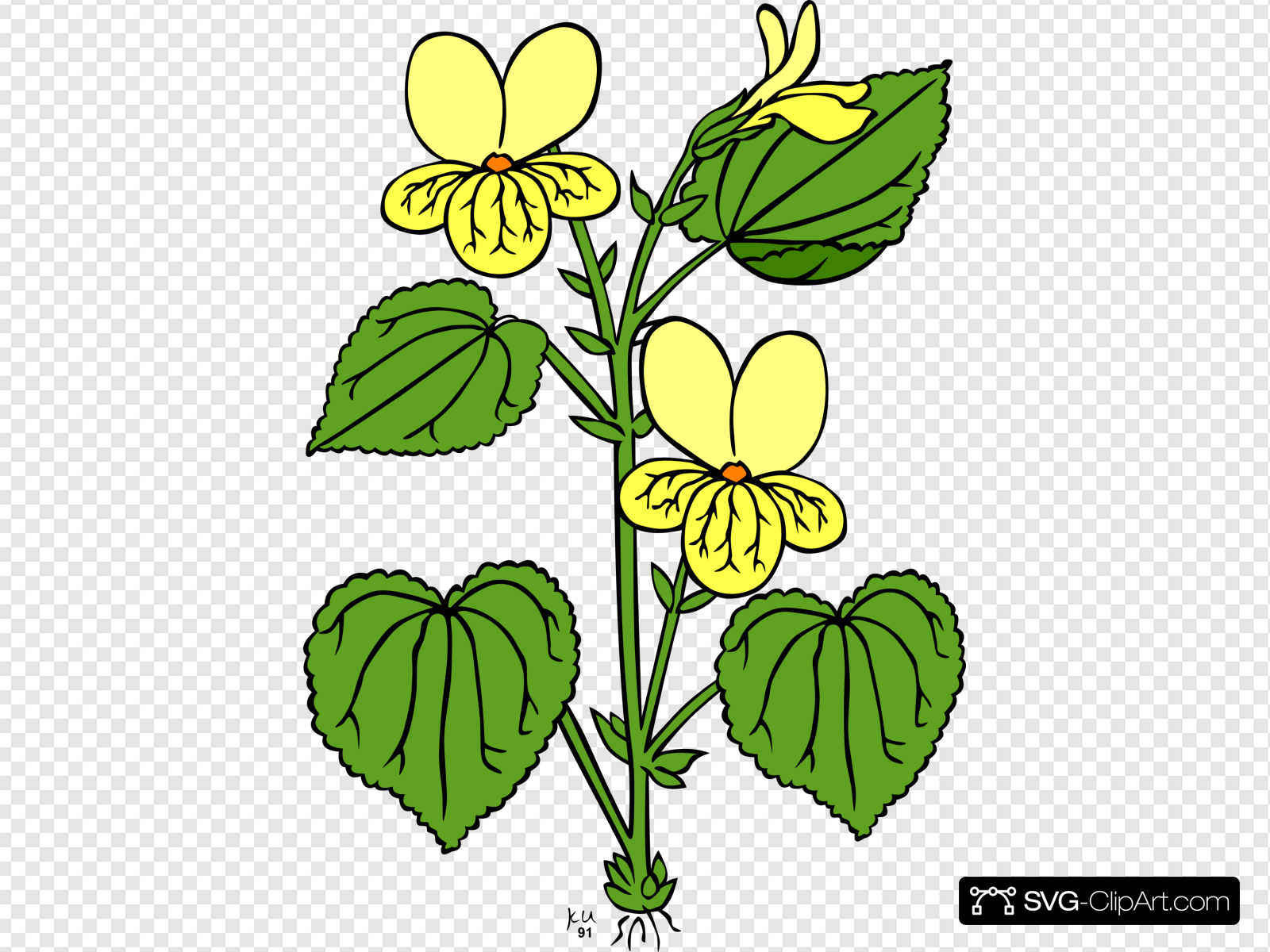 Floral Plant With Green Leaves Clip art, Icon and SVG.