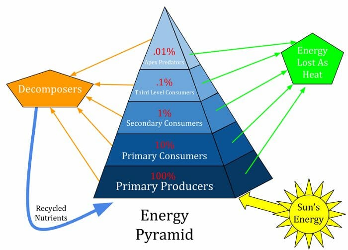 Energy Pyramid.