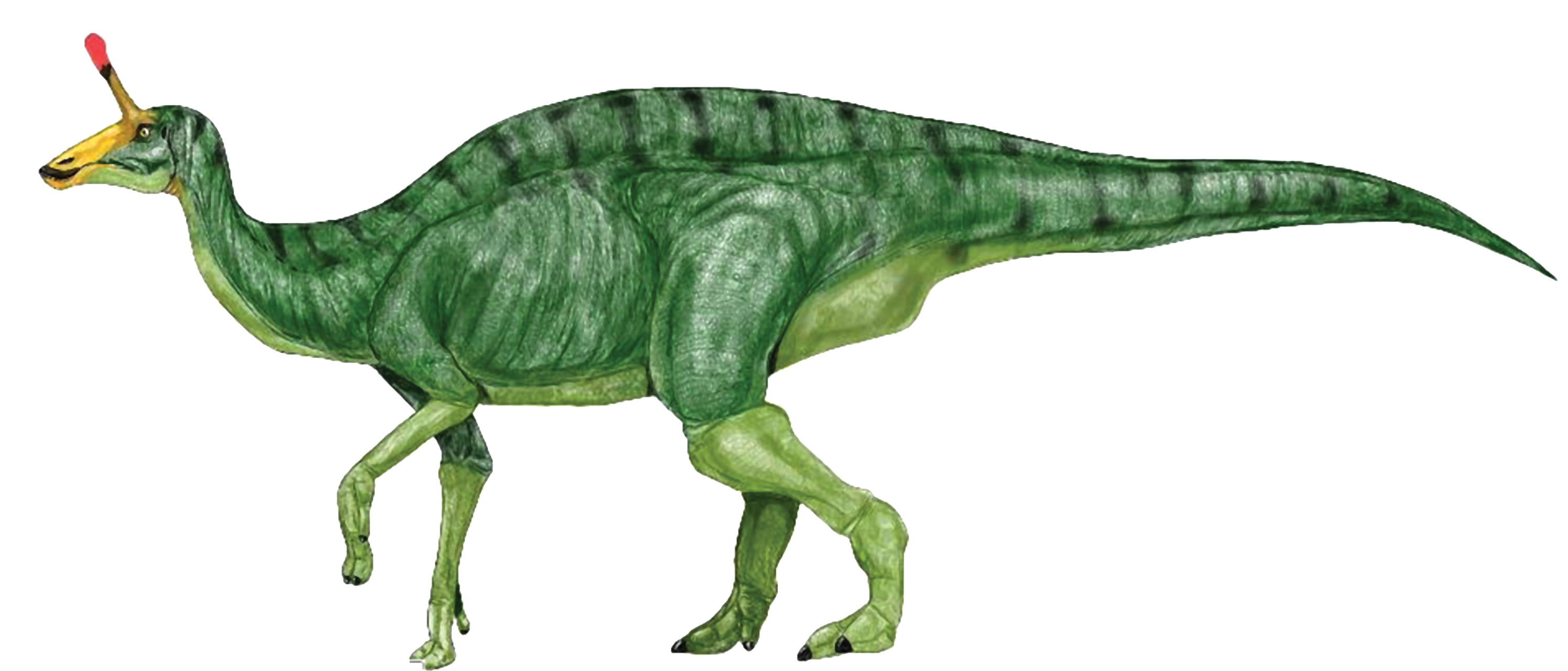 Dinosaurs Clip Art T Rex Eat.