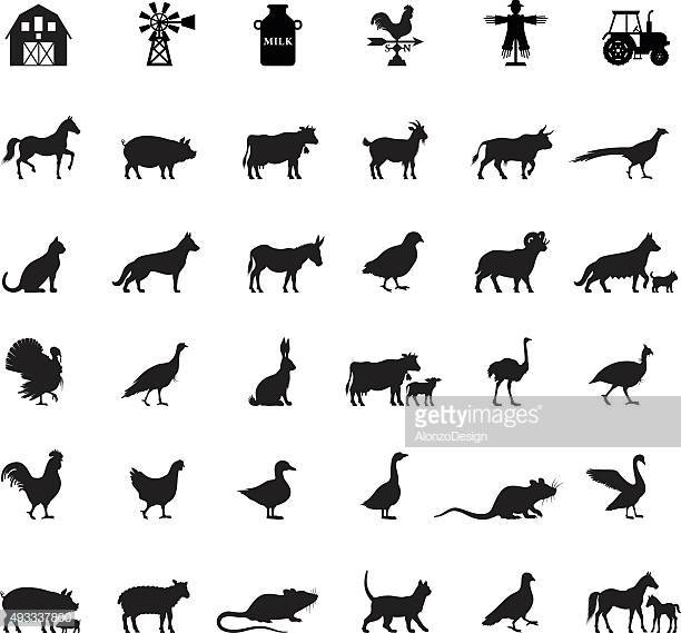 60 Top Domestic Animals Stock Illustrations, Clip art, Cartoons.