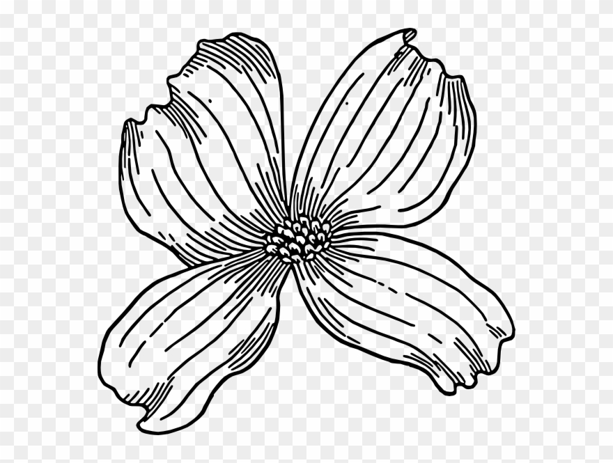 Flower 22 Clip Art.