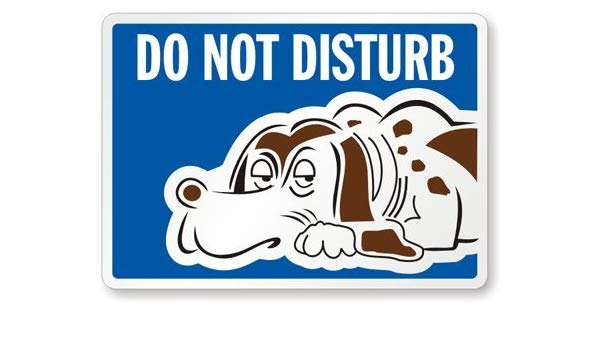 Amazon.com: Do Not Disturb (with Dog Sleeping Symbol.