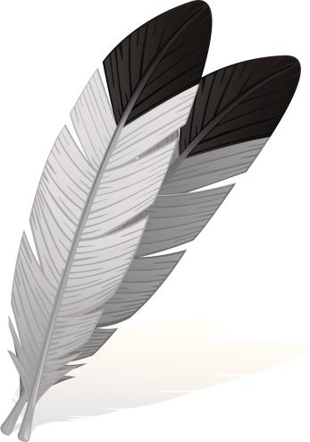 Eagle Feather Clip Art, Vector Images & Illustrations.