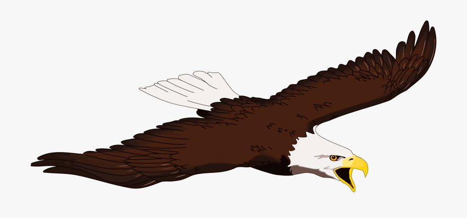 Eagle Clipart Free Clipart.