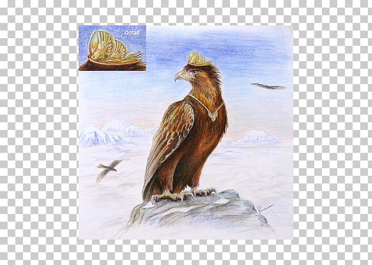 Eagles The Hobbit Dwarf, eagle PNG clipart.