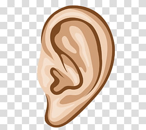 Hearing transparent background PNG cliparts free download.