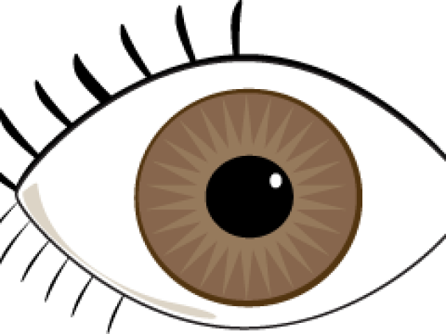 Blue Eyes Clipart Brown Eye.