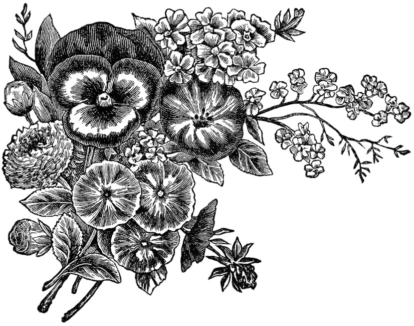 Flower Clipart Black And White.