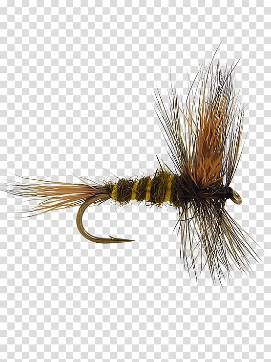 Artificial fly Fly fishing Royal Coachman Emergers, Fishing.