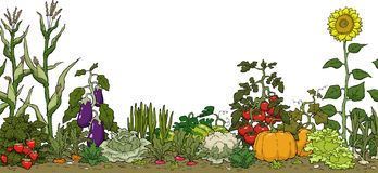 Garden clip art border free free clipart images.