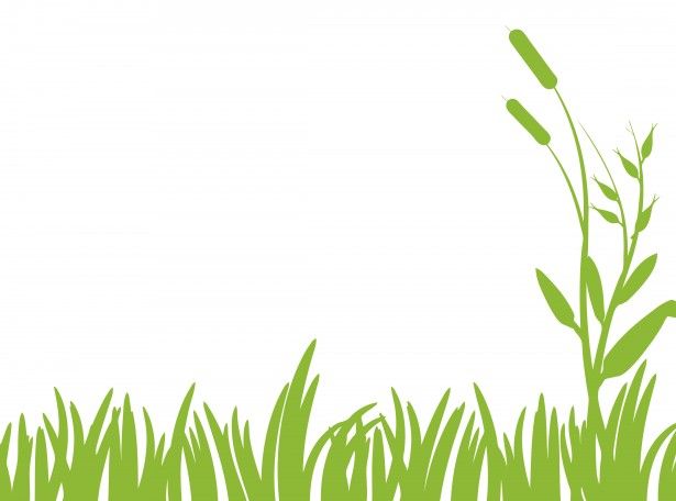 Green grass clipart free stock photo public domain pictures.