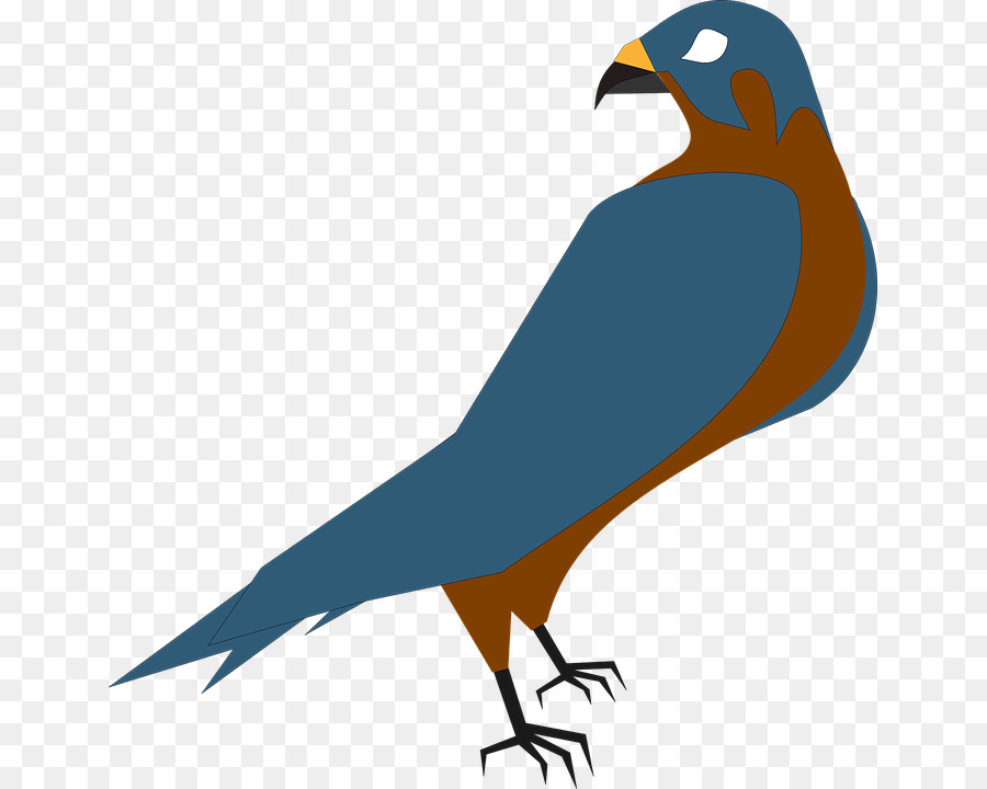 Bird Wing clipart.