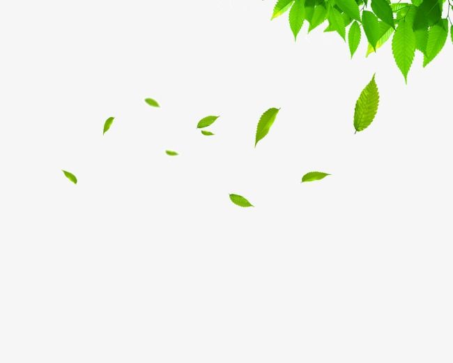 Floating Leaves, Leaf Clipart, Spring, Green Leaves PNG and.