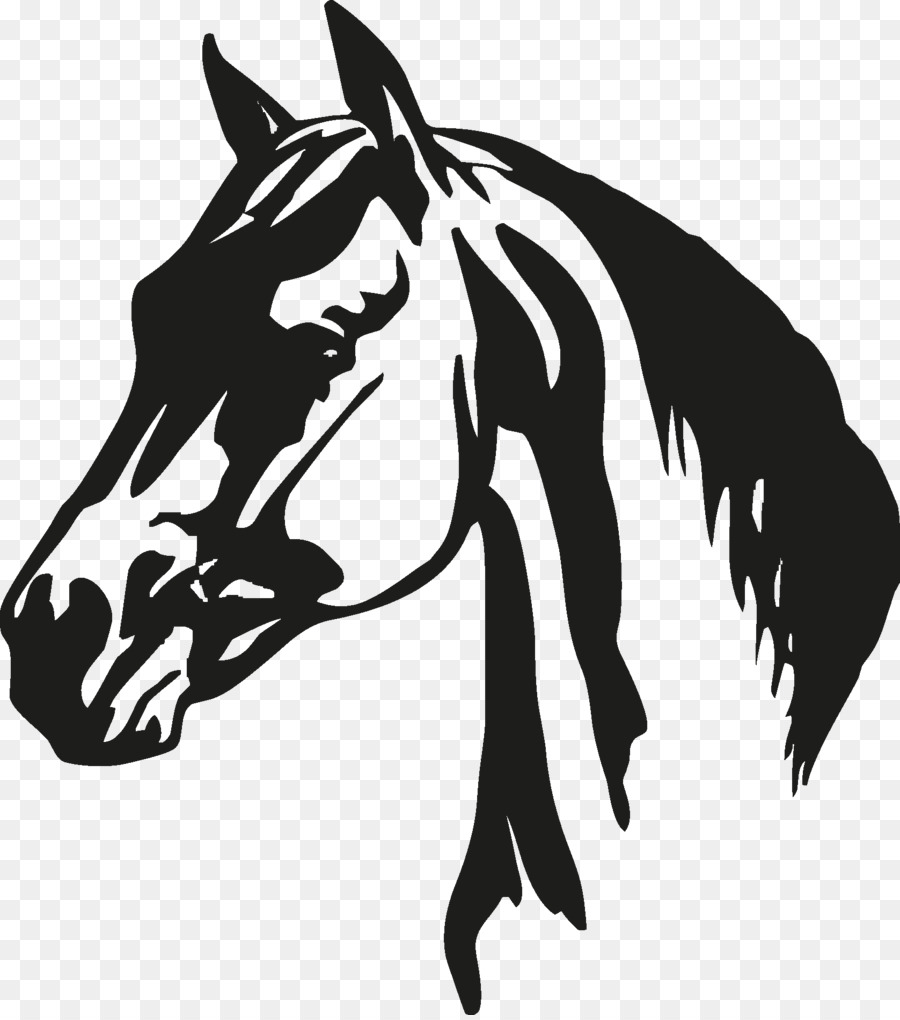 Horse Cartoon clipart.