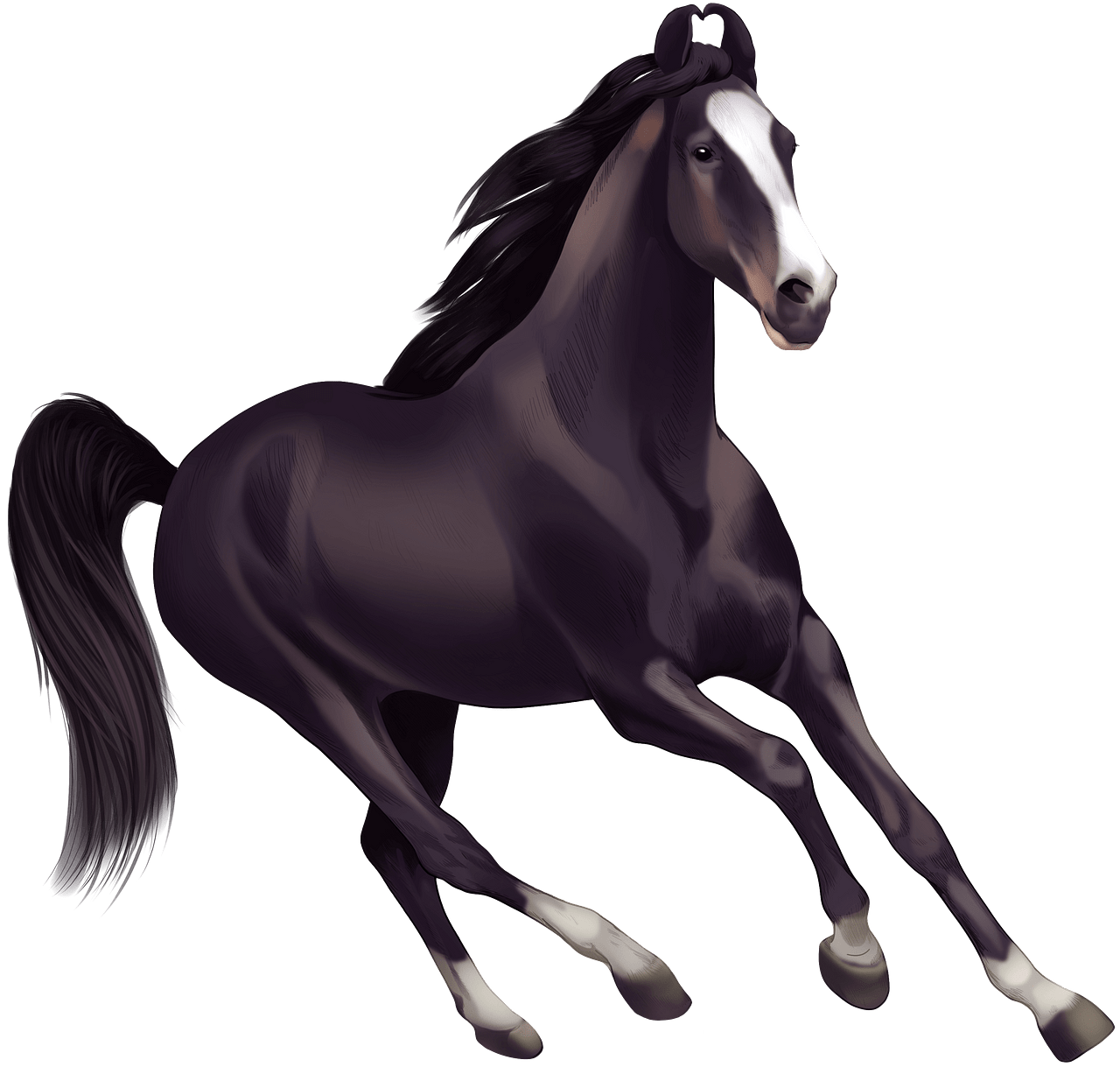 Marwari horse clipart. Free download..