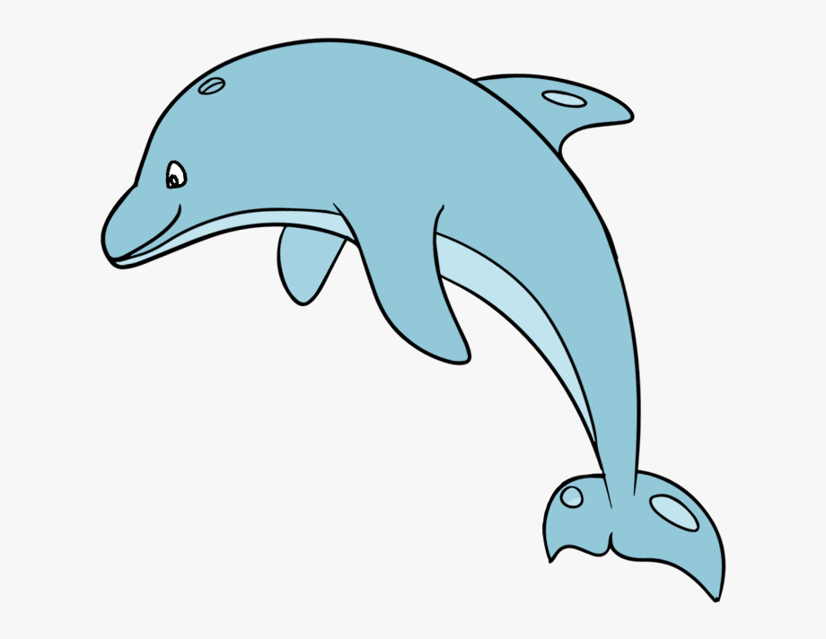 Make Your Website Responsive With The Dolphin Clipart.