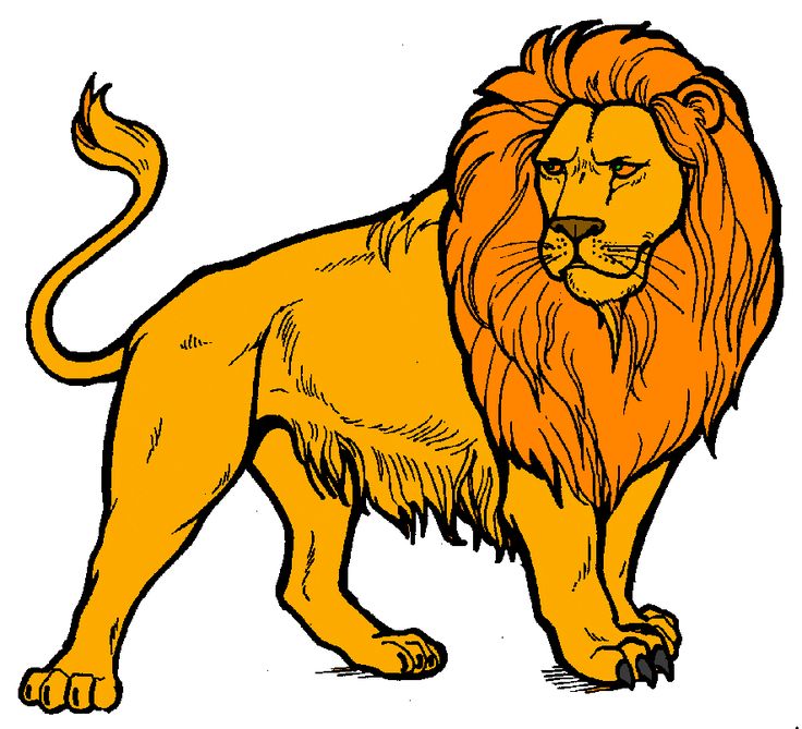 Clipart lion » Clipart Station.