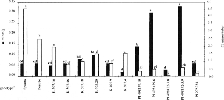 Number of mines per gram and per tuber recorded in the field.