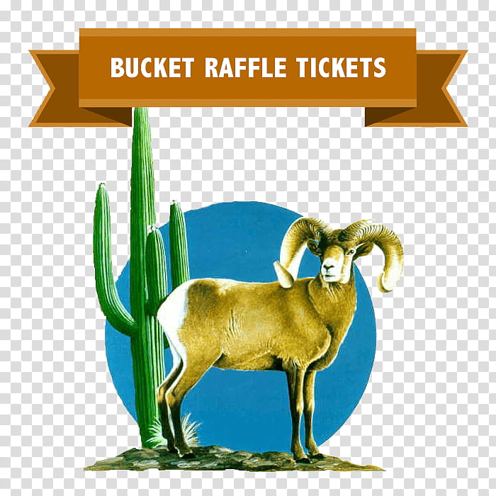 Mouflon transparent background PNG cliparts free download.