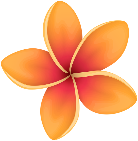 Orange Tropical Flower Clip Art Image Gallery Yopriceville.