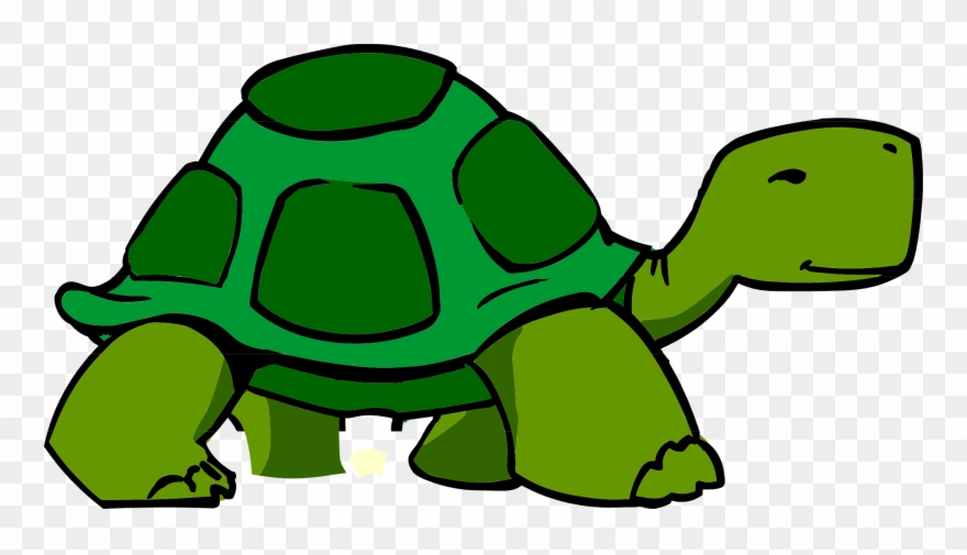 3d Clipart Turtle.