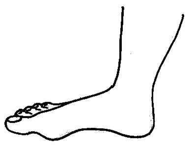 Free Foot Cliparts, Download Free Clip Art, Free Clip Art on.