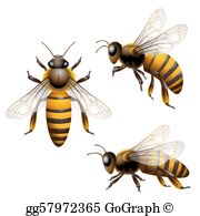 Honey Bee Clip Art.