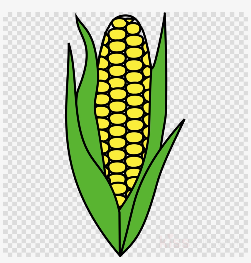 Maize Clipart Corn On The Cob Candy Corn.