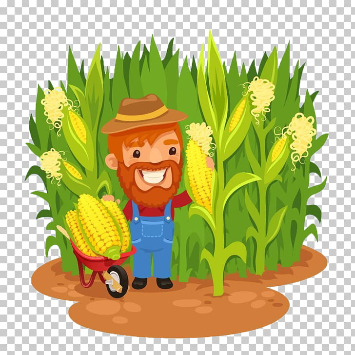 Maize Farmer Field corn , Corn cartoon of corn farmers in.