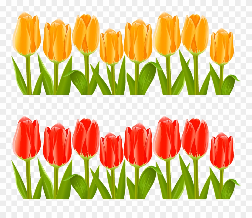 Indira Gandhi Memorial Tulip Garden Flower Clip Art.