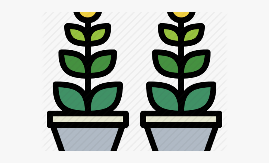 Potted Plants Clipart Ornamental Plant.