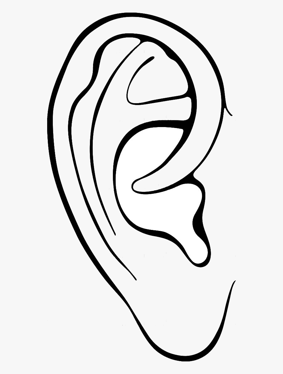 Ear Outline Clip Art.