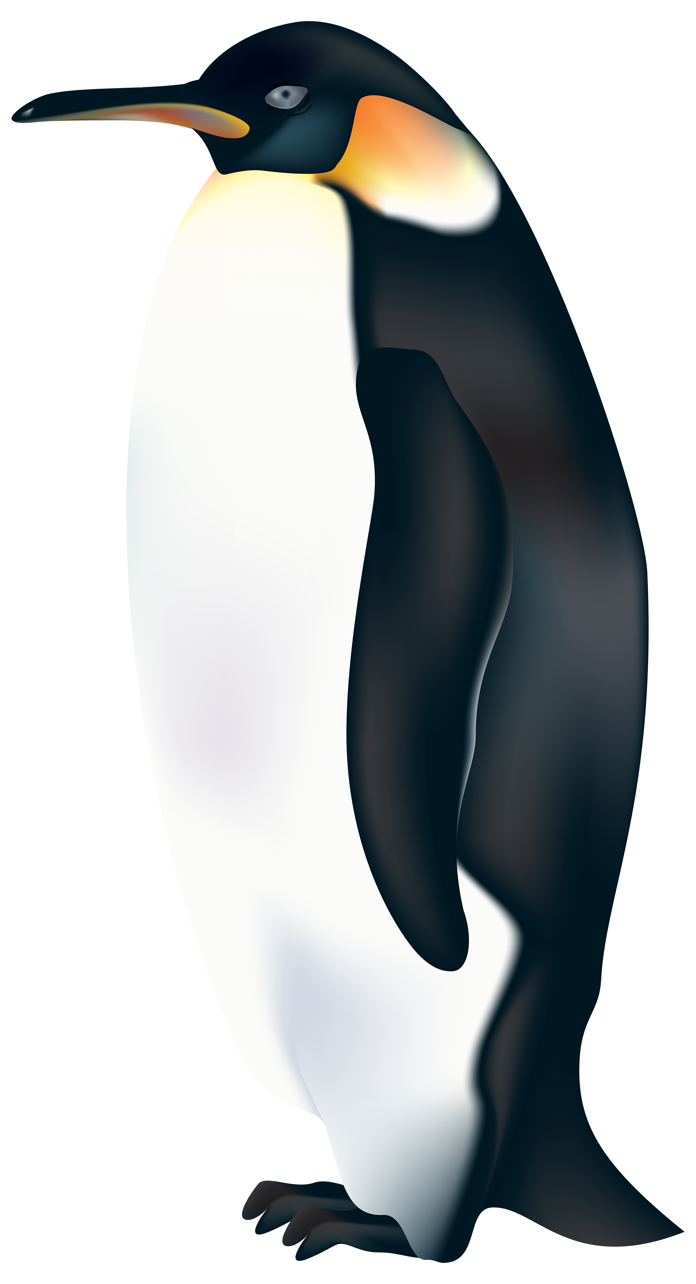 Penguin PNG Clip Art.