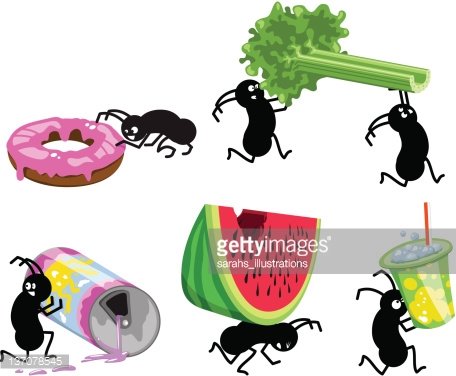 Picnic Ants Running Away With Picnic Food (vector) premium.