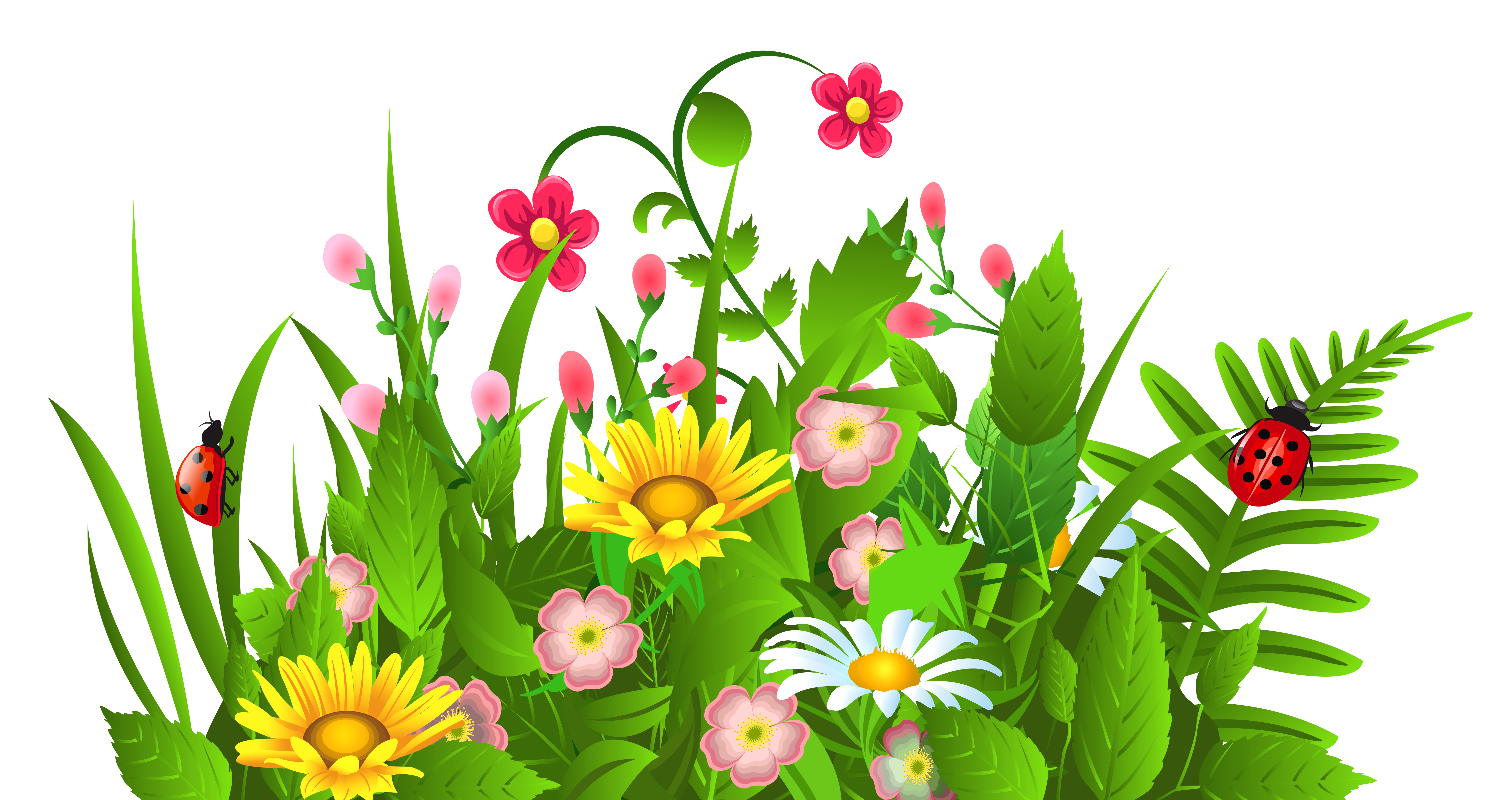 Free Spring Flower Clipart Free Download Clip Art.