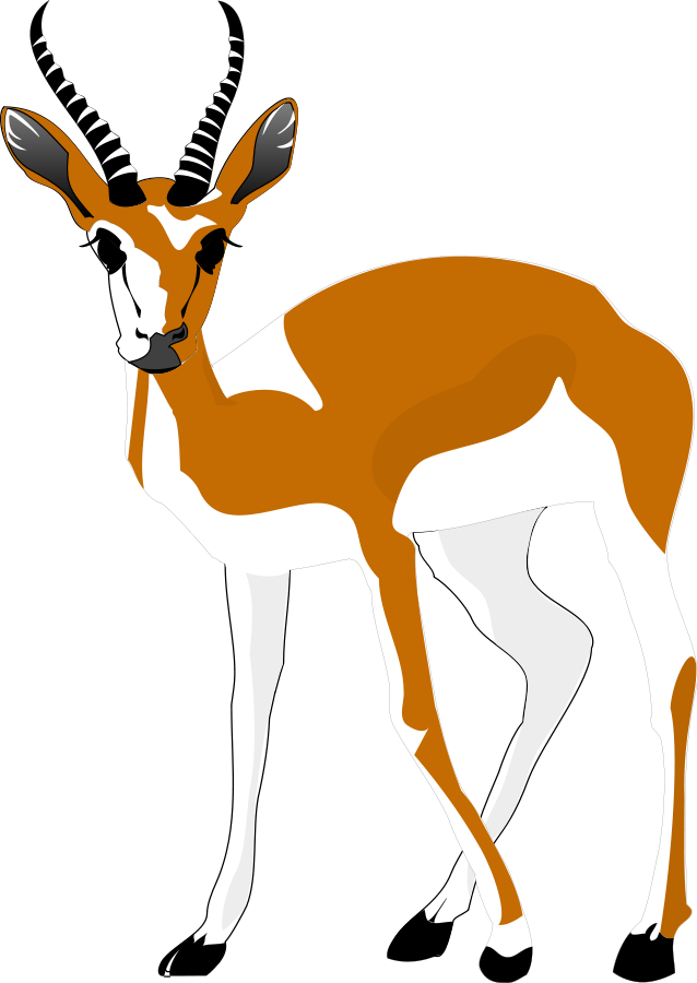 Animal Cartoon clipart.