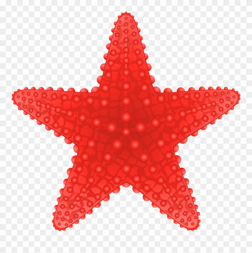 Starfish Transparent Png Clip Art Image Beach Clipart.