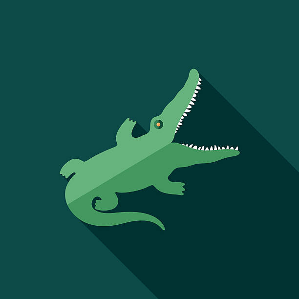 Crocodile Eyes Clip Art, Vector Images & Illustrations.