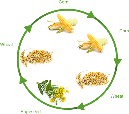 Crop production.