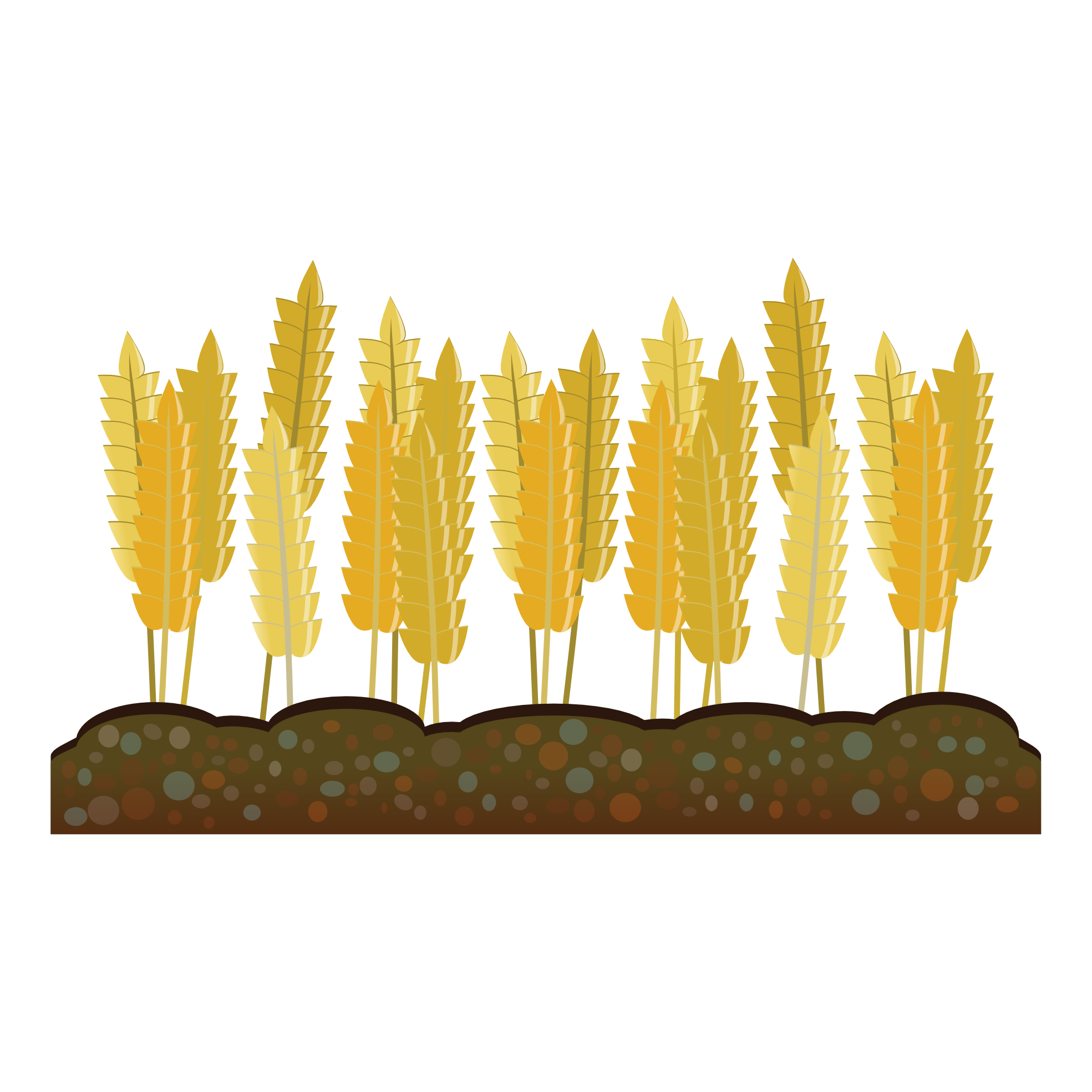 Wheat Crop Clipart.