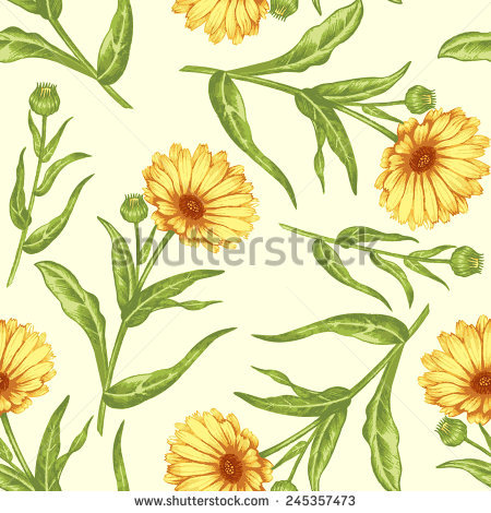 Marigold Marigold Flowers Stock Images, Royalty.