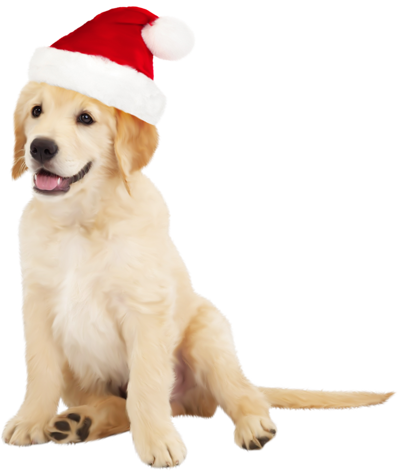 Cute Dog with Santa Hat PNG Clipart.