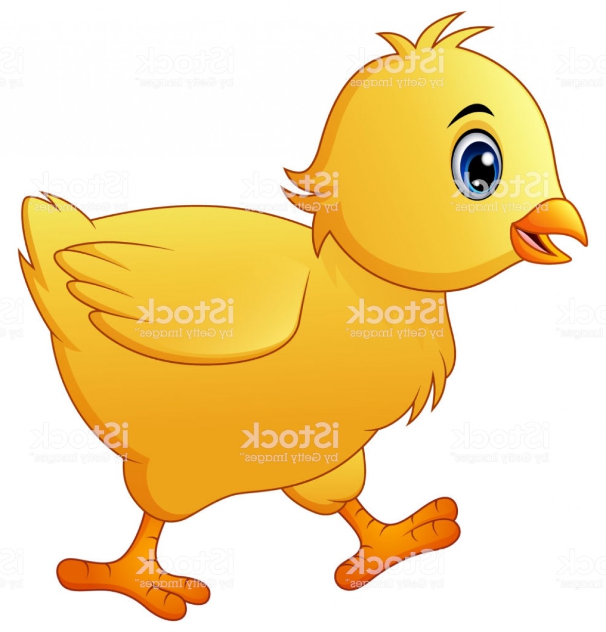 Baby Chicken Vector Art.