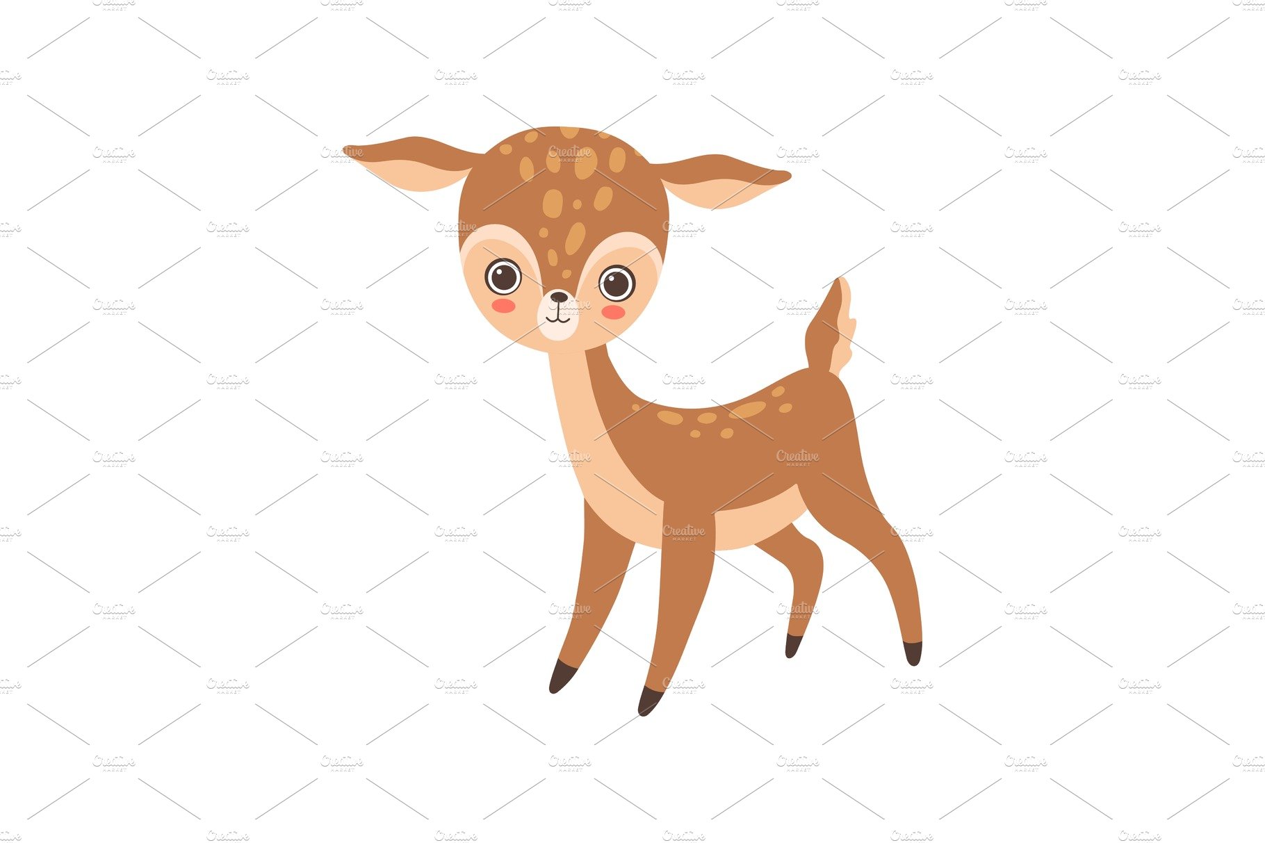 Cute Baby Deer, Lovely Forest Fawn.