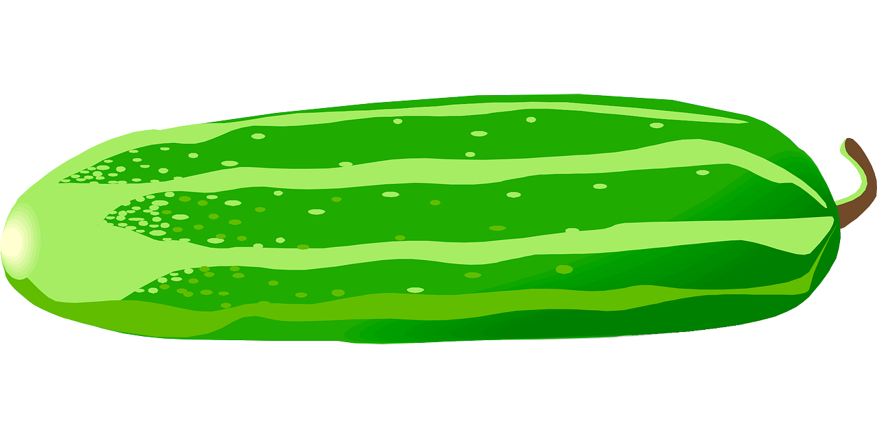 Free cucumber clipart.