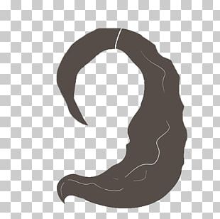 Long Curly Hair PNG Images, Long Curly Hair Clipart Free Download.