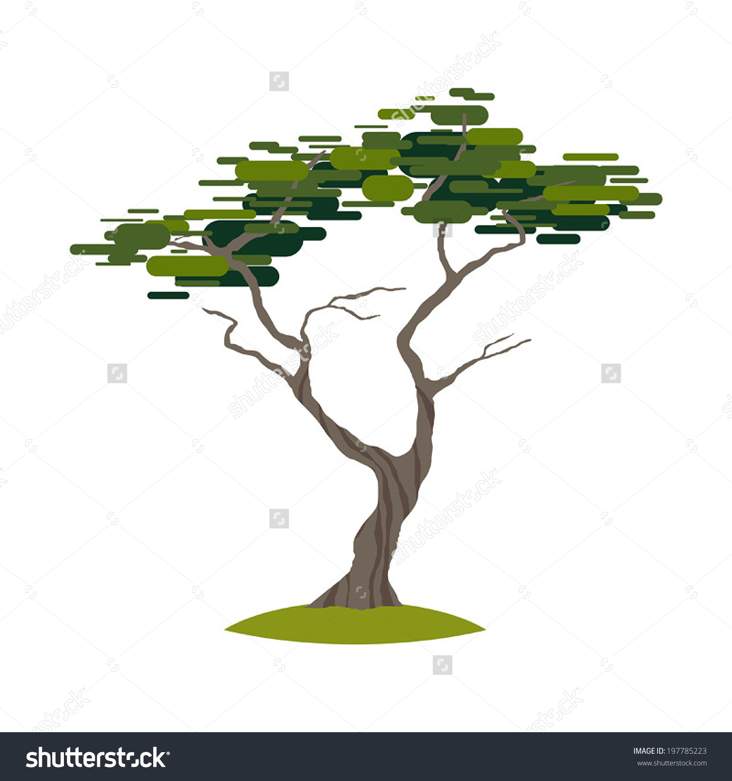 Cartoon Crooked Cypress Tree On Transparent Stock Vector 197785223.