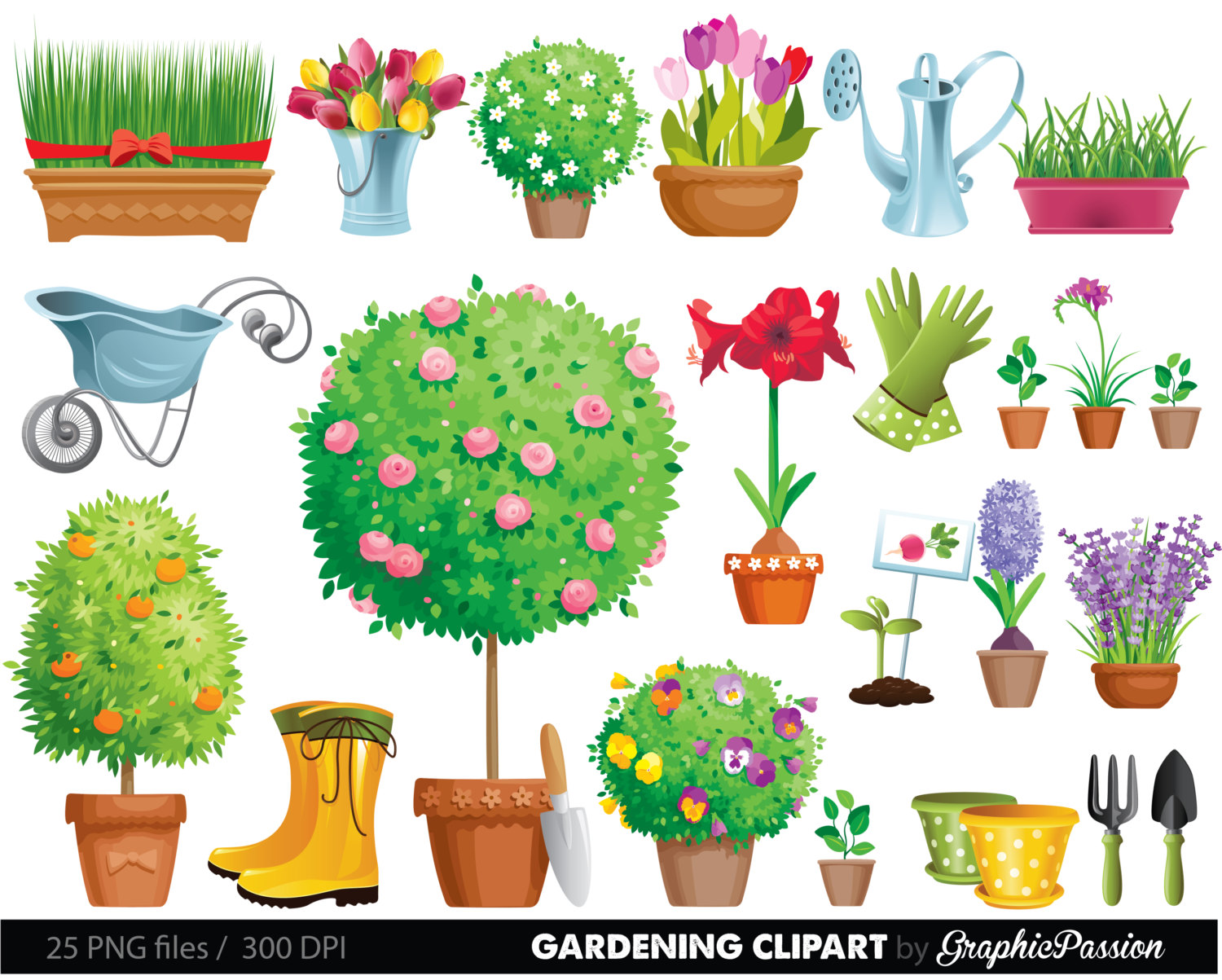 Garden plant clipart.