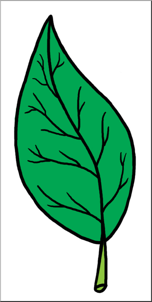 Clip Art: Leaf Parts Color Unlabeled I abcteach.com.